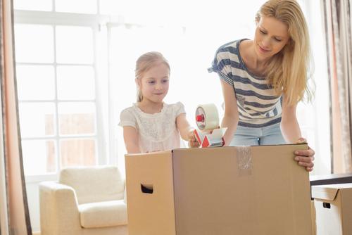 Mokena parental relocation attorney