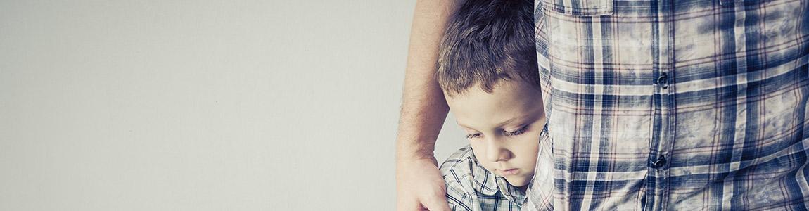 Lockport divorce lawyer for child custody disputes